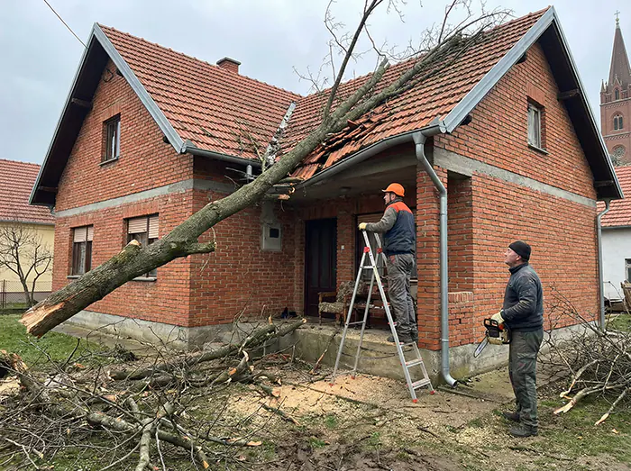 Izvođači Amateri srušili drvo na kuću - Rušenje stabala Đakovo