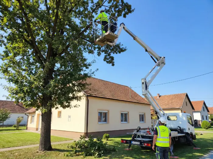 Najam dizalice i visinski radovi, rušenje stabala na opasnim mjestima