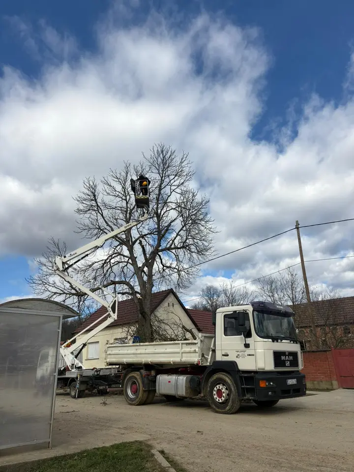 Kirurški Precizno Rušenje Stabla uz kuću i cestu (Video) 1 Rušenje stabla Đakovo