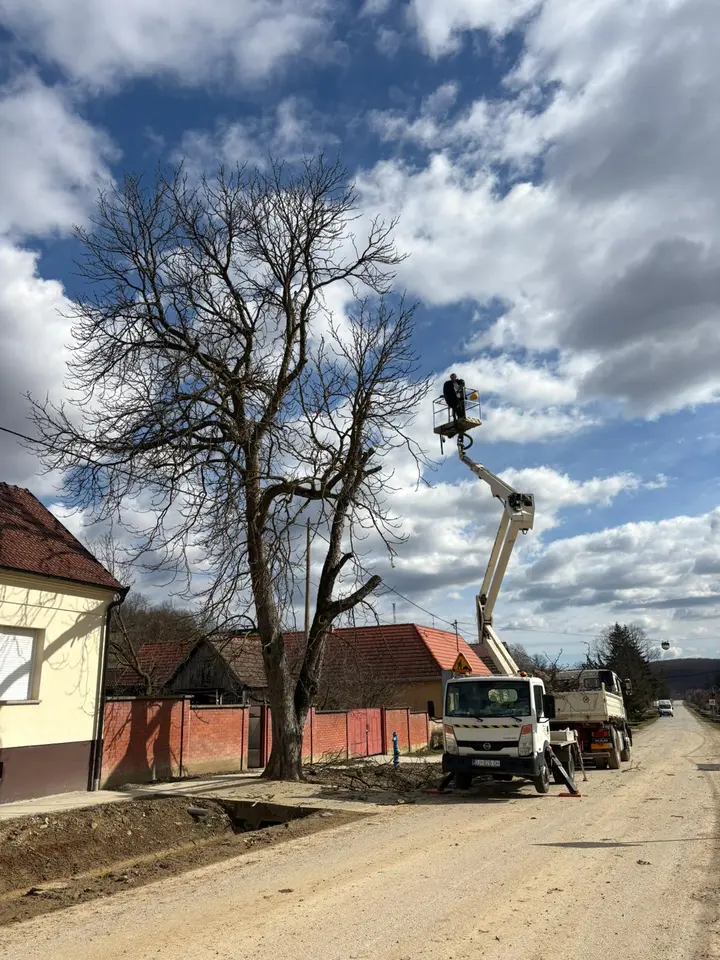 Rušenje stabla Đakovo