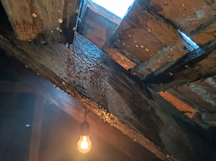 Zašto su krovne folije i paropropusne membrane obavezne kod novog krova? 2 Prikaz kondenzacije i vlage na drvenim gredama starog krova - Krovopokrivač Đakovo - IP BAU
